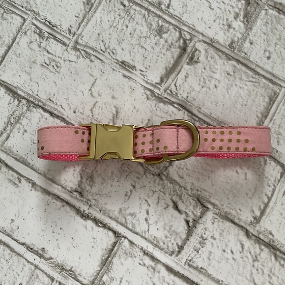 Custom Dog Collar - Picture 2 of 4